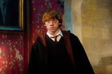 Ron-Order-of-the-Phoenix-ronald-weasley-4959528-428-285