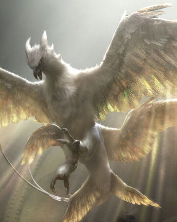 Thunderbird Harry Potter Wiki Fandom