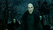 Lord Voldemort and Death Eaters in the Little Hangleton graveyard