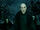 Voldemort and Death Eaters HPK.jpg