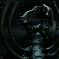 Bone Harry Potter Wiki Fandom