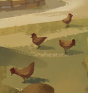 Chicken