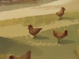 Weasley family chickens