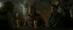 Conservation and Butterbeer