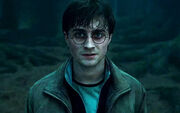 DH - Harry Potter-Forbidden Forest