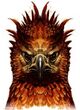 Fawkes WB F2 FawkesIllustration V2 Illust.jpg