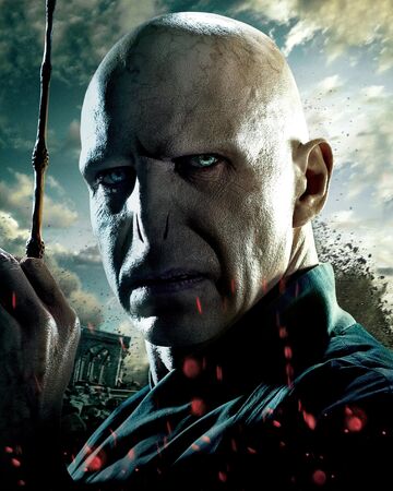 Tom Reddl Garri Potter Viki Fandom