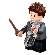 LegoSeamus