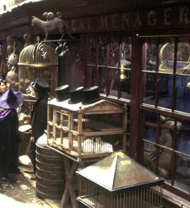 Magical Menagerie