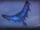 Swooping Evil Kite