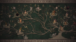 Albero genealogico Black