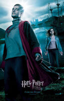 Krum & Hermione