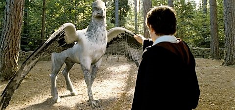 Hagrid's buckbeak 2025