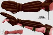 Quidditch gloves