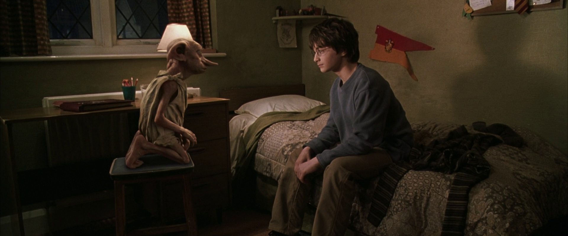 dobby the house elf  Dobby harry potter, Dobby harry, Harry potter wiki