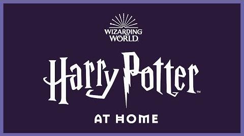 Harry Potter At Home Harry Potter Wiki Fandom