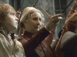 Hp-the-deathly-hallows-madame-pomfreys-wand.jpg