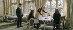 Madam Pomfrey treating Ron Weasley in the Hospital Wing HBPF