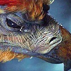 fénix harry potter gif