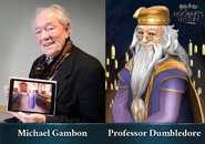 Michael Gambon as Albus Dumbledore