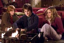Harry hermiona czara.jpg