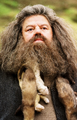 Rúbeo Hagrid (1940? - ?)