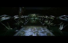 Harry-potter-and-the-chamber-of-secrets-1013