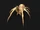 Ben-judd-venomous-hatchling.png