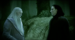 Dumbledore and Snape speaking in the forest