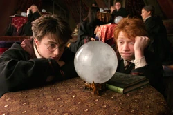 Harry i Ron przyglądający się kryształowej kuli