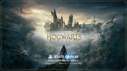 Harry potter for 2025 playstation