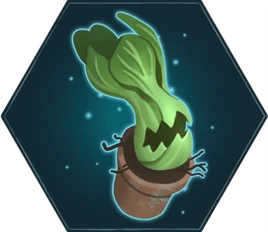 ChineseChompingCabbage