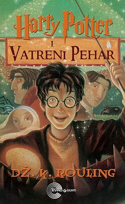 Harry Potter And The Goblet Of Fire Harry Potter Wiki Fandom