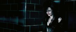 Order-of-the-phoenix-bellatrix