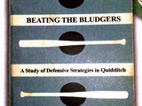 Отбить бладжер: обзор систем защиты в квиддиче