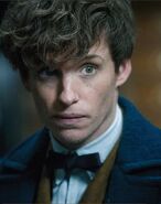 FBaWtFT Newt Scamander 12