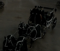 Gellert Grindelwald's horse-drawn hearse carriage