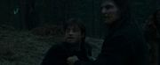 Greyback cattura Harry