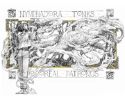 Levi-pinfold-nymphadora-tonks-patronus