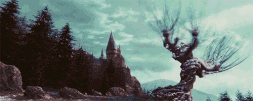 Tumblr n3ikuirX431t7i914o3 500.gif