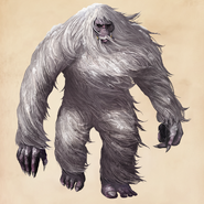 Yeti F