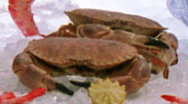 Crabes