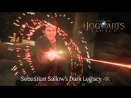 Sebastian Sallow's Dark Legacy