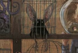 Large-eared creature