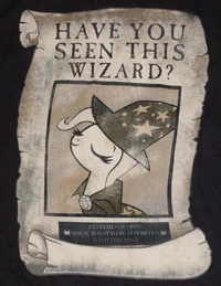 "Have you seen this wizard?"