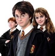 The-golden-trio-harry-ron-and-hermione-38723703-300-300