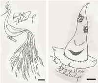 Sketches of Fawkes and the Sorting Hat by JKR from Conversations With J.K. Rowling