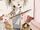 Yumi Ito's wand