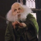 Filius Flitwick[1]