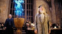 Goblet-of-fire-pic